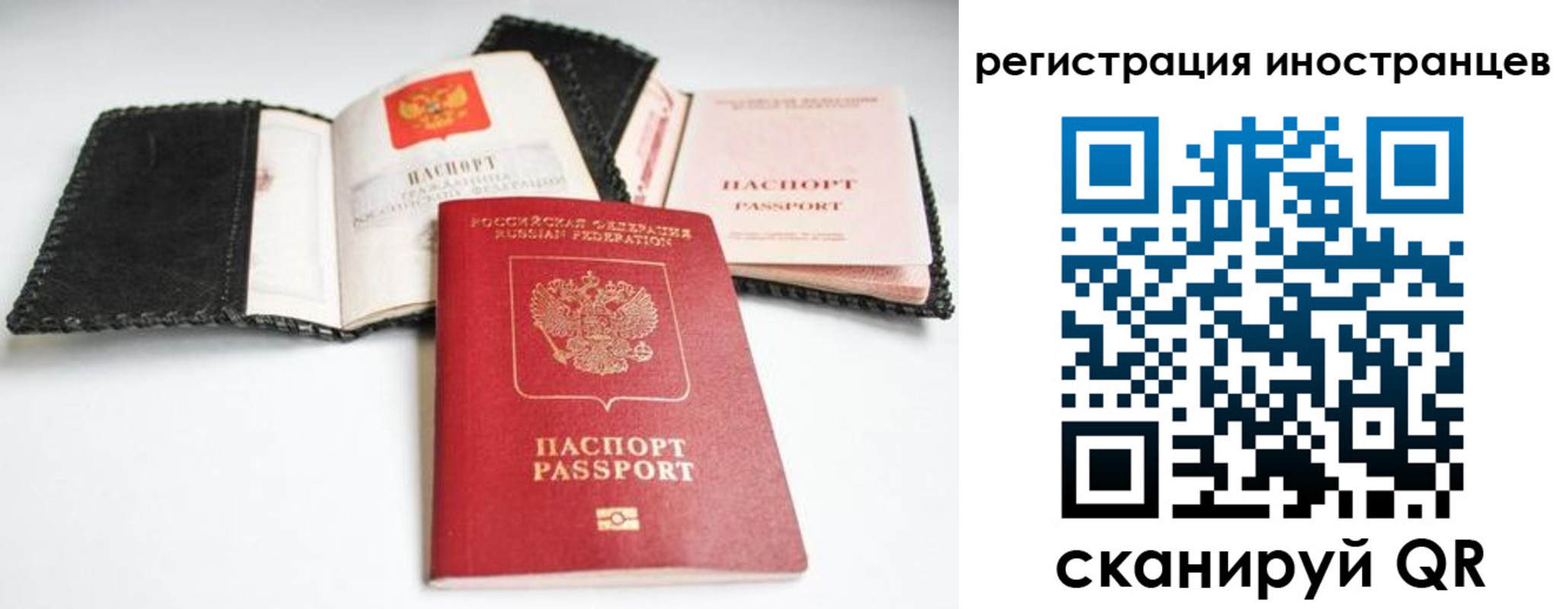 прописка гарантия в Ряжске